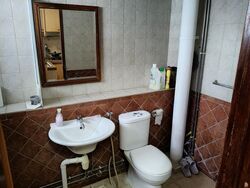 Blk 240 Pasir Ris Street 21 (Pasir Ris), HDB Executive #519265451
